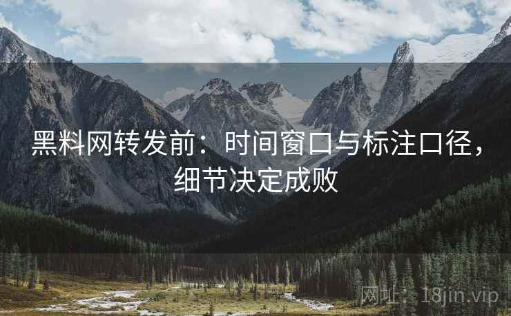 黑料网转发前：时间窗口与标注口径，细节决定成败