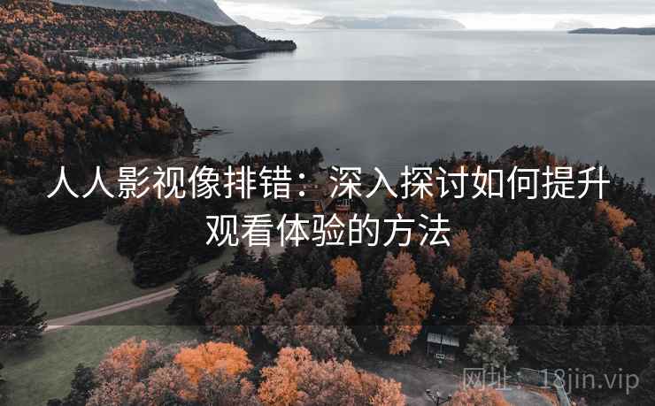 人人影视像排错：深入探讨如何提升观看体验的方法