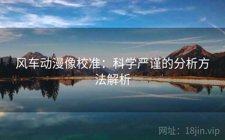 风车动漫像校准：科学严谨的分析方法解析