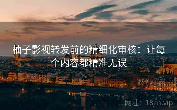 柚子影视转发前的精细化审核：让每个内容都精准无误