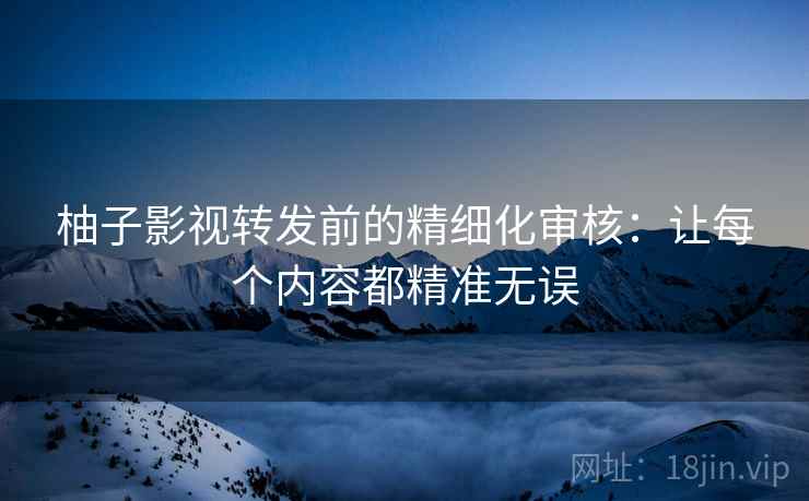 柚子影视转发前的精细化审核：让每个内容都精准无误